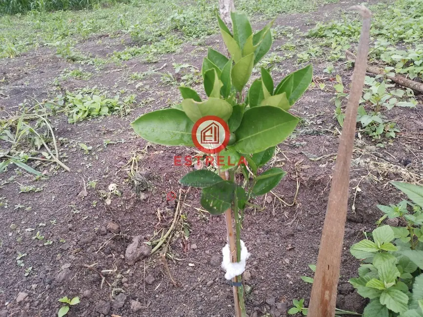 Foto 28 de Chácara à venda, 2000m2 em Chácara Itapoã, Jacarei - SP