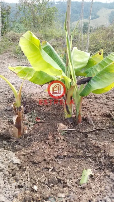 Foto 18 de Chácara à venda, 2000m2 em Chácara Itapoã, Jacarei - SP