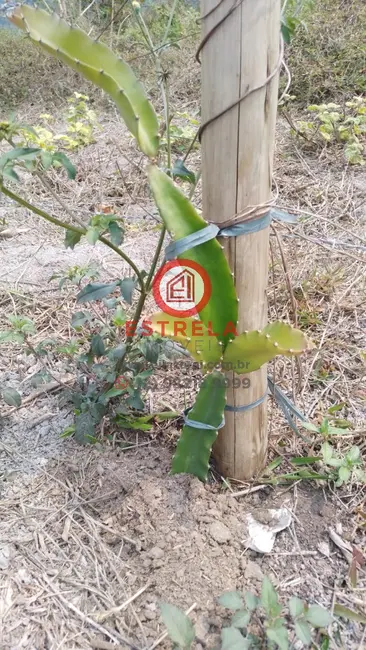 Foto 10 de Chácara à venda, 2000m2 em Chácara Itapoã, Jacarei - SP