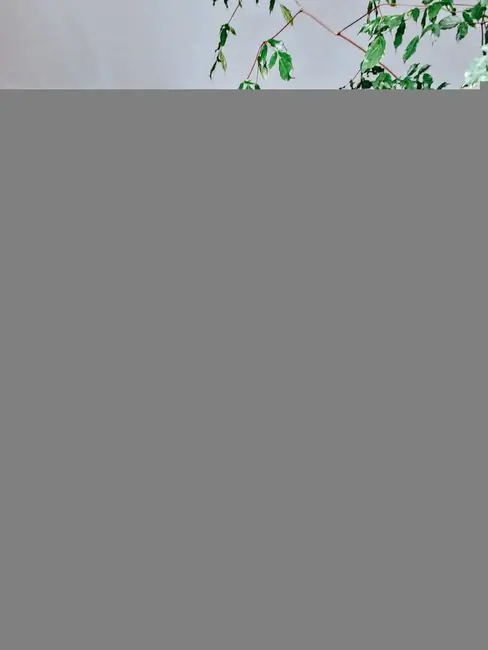 Cobertura com 3 quartos à venda, 200m2 em Vila Nova, Cabo Frio - RJ - imagem 5 Foto 5 de Cobertura com 3 quartos à venda, 200m2 em Vila Nova, Cabo Frio - RJ