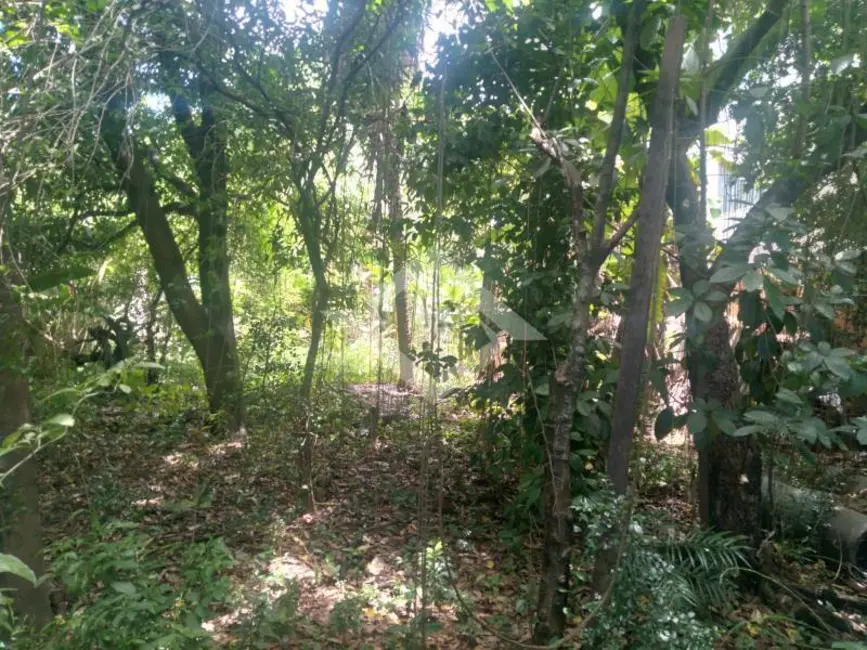 Foto 7 de Terreno / Lote à venda, 1200m2 em Campo Grande, Rio De Janeiro - RJ