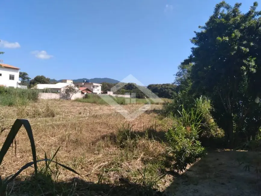 Foto 3 de Terreno / Lote à venda, 10000m2 em Guaratiba, Rio De Janeiro - RJ