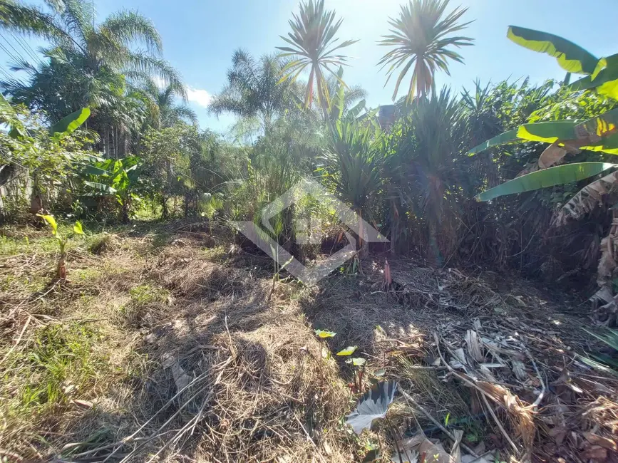 Foto 5 de Sala Comercial à venda, 3600m2 em Guaratiba, Rio De Janeiro - RJ