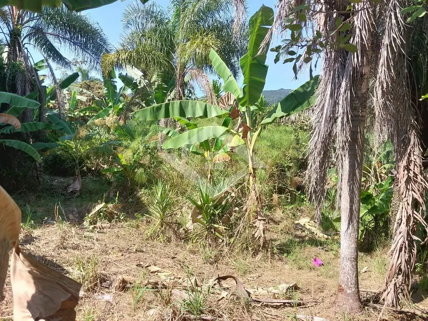 Foto 9 de Sala Comercial à venda, 3600m2 em Guaratiba, Rio De Janeiro - RJ