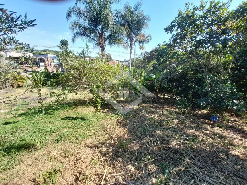 Foto 8 de Sala Comercial à venda, 3600m2 em Guaratiba, Rio De Janeiro - RJ