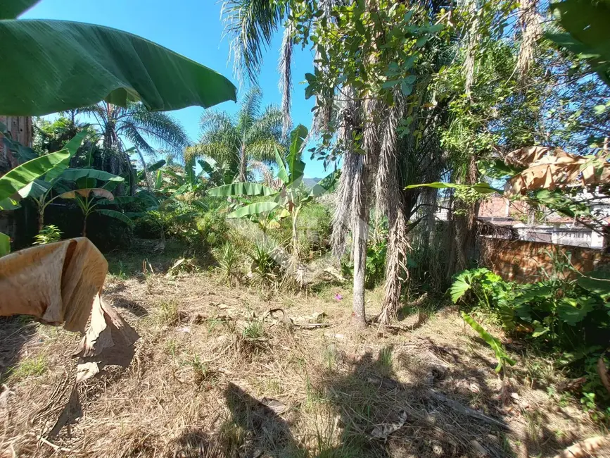 Foto 7 de Sala Comercial à venda, 3600m2 em Guaratiba, Rio De Janeiro - RJ