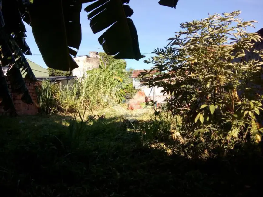 Foto 6 de Terreno / Lote à venda, 400m2 em Campo Grande, Rio De Janeiro - RJ