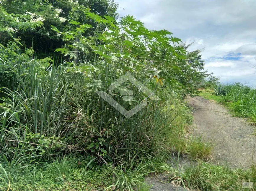 Foto 5 de Terreno / Lote à venda, 261m2 em Campo Grande, Rio De Janeiro - RJ