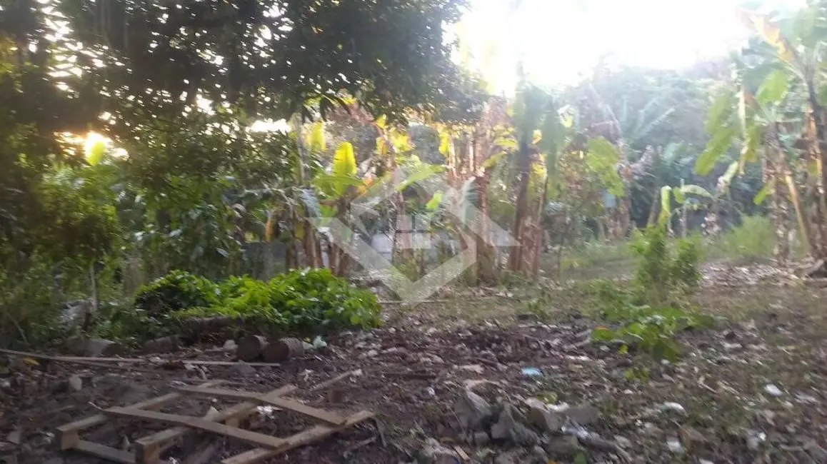 Foto 6 de Terreno / Lote à venda, 44520m2 em Guaratiba, Rio De Janeiro - RJ