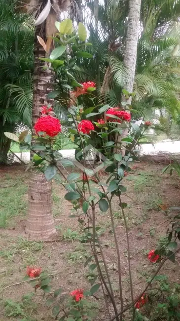 Sítio / Rancho com 2 quartos à venda, 500m2 em Inhoaíba, Rio De Janeiro - RJ - imagem 6 Foto 6 de Sítio / Rancho com 2 quartos à venda, 500m2 em Inhoaíba, Rio De Janeiro - RJ