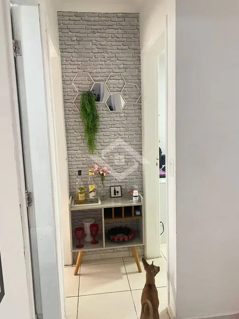 Apartamento com 2 quartos à venda, 46m2 em Campo Grande, Rio De Janeiro - RJ - imagem 4 Foto 4 de Apartamento com 2 quartos à venda, 46m2 em Campo Grande, Rio De Janeiro - RJ