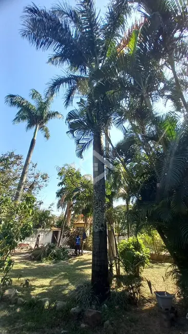 Foto 4 de Casa com 4 quartos à venda, 720m2 em Pedra de Guaratiba, Rio De Janeiro - RJ