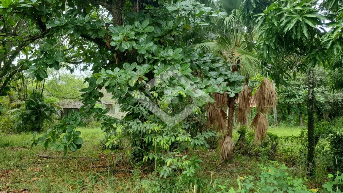 Chácara à venda, 120000m2 em Centro (Manilha), Itaborai - RJ - imagem 5 Foto 5 de Chácara à venda, 120000m2 em Centro (Manilha), Itaborai - RJ
