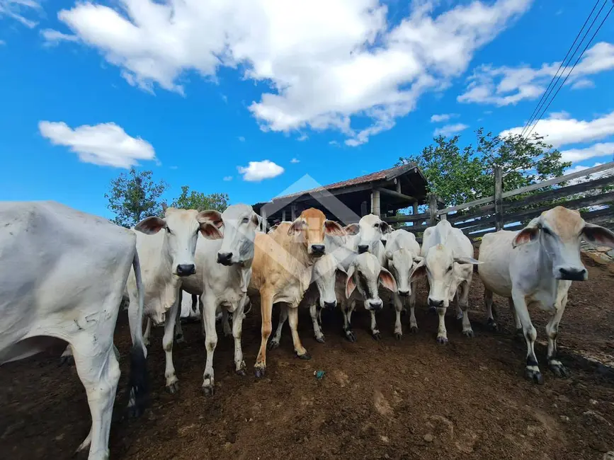 Foto 3 de Chácara com 4 quartos à venda, 52m2 em Araruama - RJ