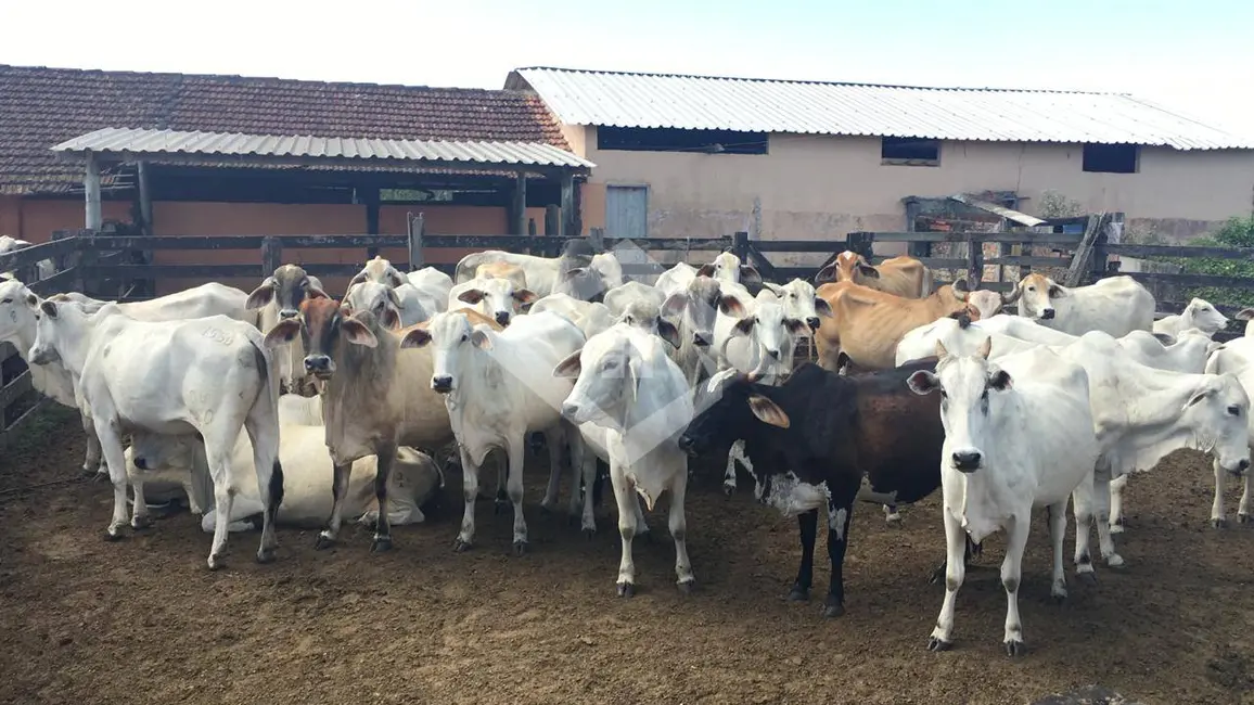 Foto 2 de Chácara com 4 quartos à venda, 52m2 em Araruama - RJ