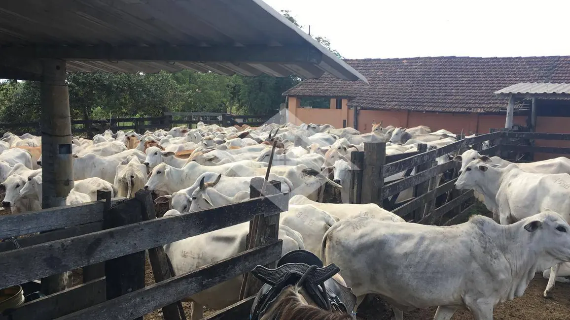 Foto 1 de Chácara com 4 quartos à venda, 52m2 em Araruama - RJ