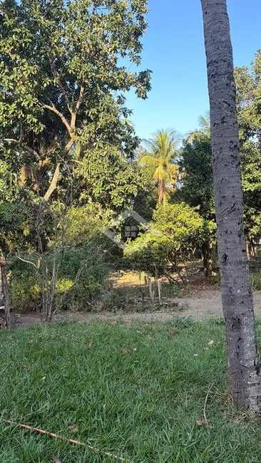 Terreno / Lote à venda, 10000m2 em Santa Cruz, Rio De Janeiro - RJ - imagem 2 Foto 2 de Terreno / Lote à venda, 10000m2 em Santa Cruz, Rio De Janeiro - RJ