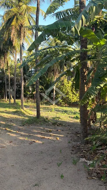 Terreno / Lote à venda, 10000m2 em Santa Cruz, Rio De Janeiro - RJ - imagem 5 Foto 5 de Terreno / Lote à venda, 10000m2 em Santa Cruz, Rio De Janeiro - RJ