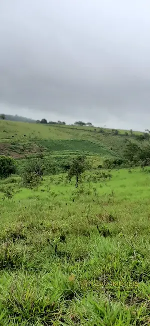 Foto 2 de Fazenda / Haras à venda em Saire - PE