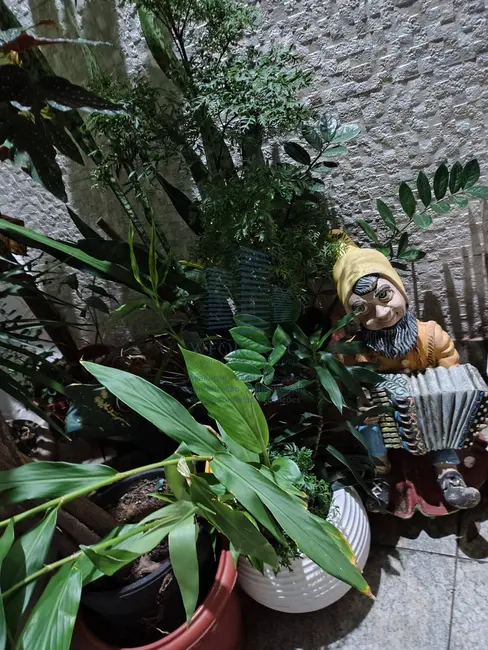 Foto 6 de Casa com 5 quartos à venda, 550m2 em Grajaú, Rio De Janeiro - RJ