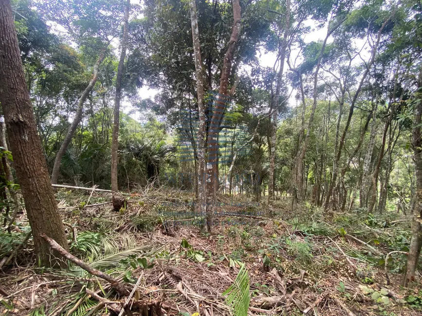 Foto 5 de Terreno / Lote à venda, 5000m2 em Várzea das Moças, Niteroi - RJ