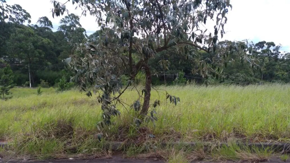 Foto 4 de Terreno / Lote à venda, 500m2 em Jardim Cury, Aruja - SP