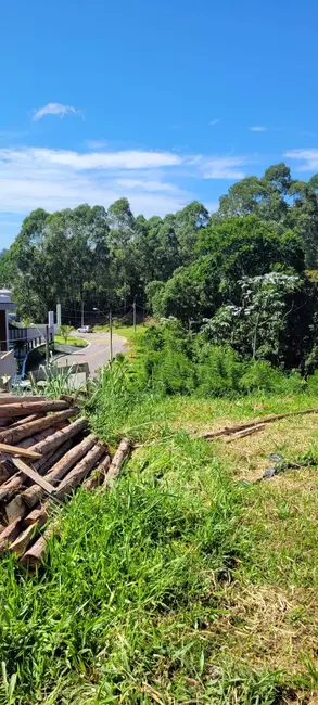 Foto 5 de Lote de Condomínio à venda, 658m2 em Jardim das Cerejeiras, Aruja - SP