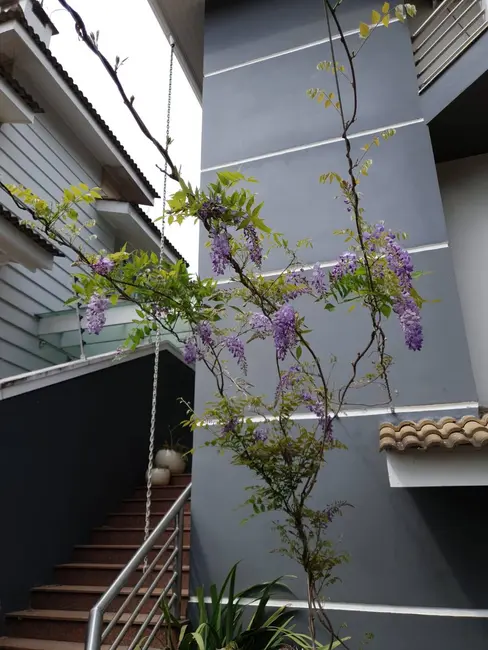 Foto 2 de Casa com 4 quartos à venda, 250m2 em Jardim Rincão, Aruja - SP