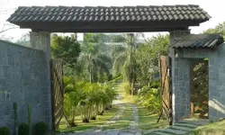 Imagem 19