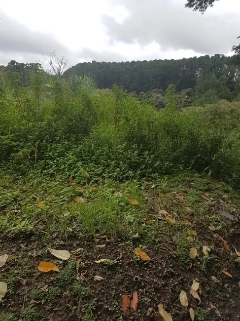 Foto 1 de Lote de Condomínio à venda, 1315m2 em Jardim Planalto, Aruja - SP