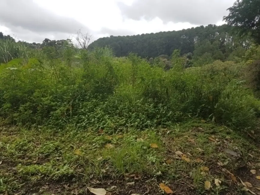 Foto 3 de Lote de Condomínio à venda, 1315m2 em Jardim Planalto, Aruja - SP