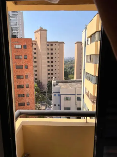 Apartamento com 3 quartos à venda, 80m2 em Morumbi, São Paulo - SP - imagem 5 Foto 5 de Apartamento com 3 quartos à venda, 80m2 em Morumbi, São Paulo - SP