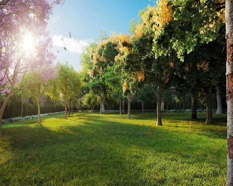 Foto 2 de Apartamento com 3 quartos à venda, 109m2 em Vila da Saúde, São Paulo - SP