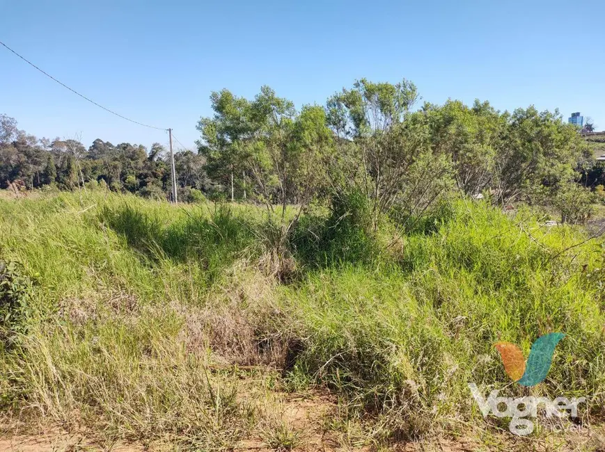 Foto 4 de Terreno / Lote à venda, 316m2 em Estrela - RS