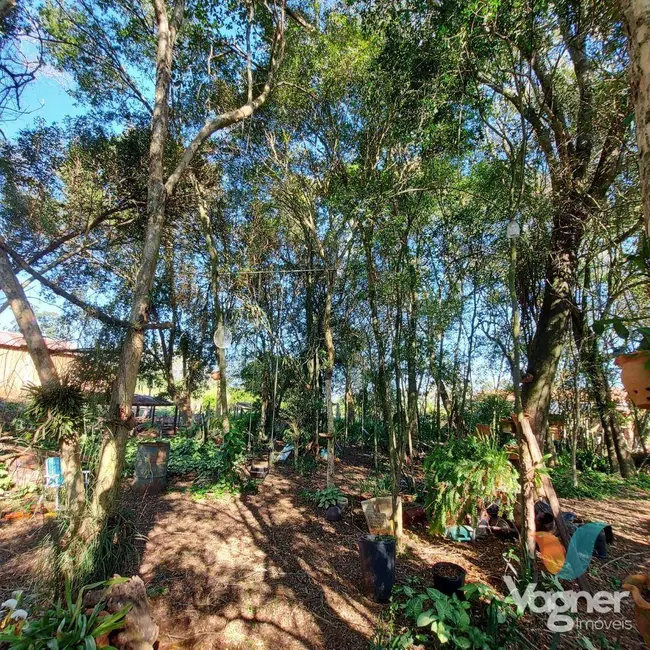 Foto 6 de Chácara com 2 quartos à venda, 5000m2 em Estrela - RS