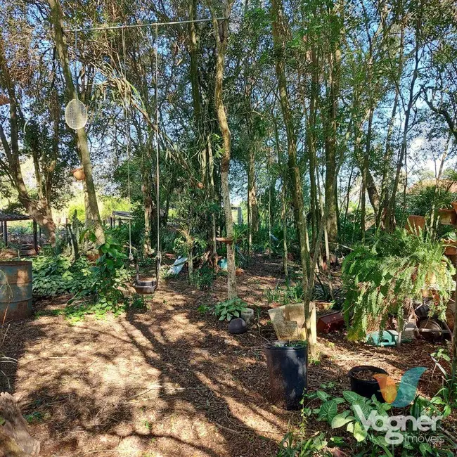 Foto 3 de Chácara com 2 quartos à venda, 5000m2 em Estrela - RS