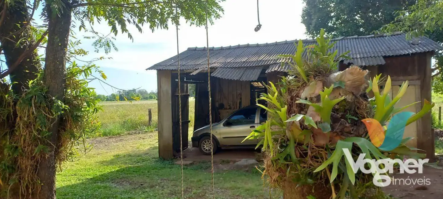 Foto 7 de Chácara com 3 quartos à venda, 6000m2 em Colinas - RS