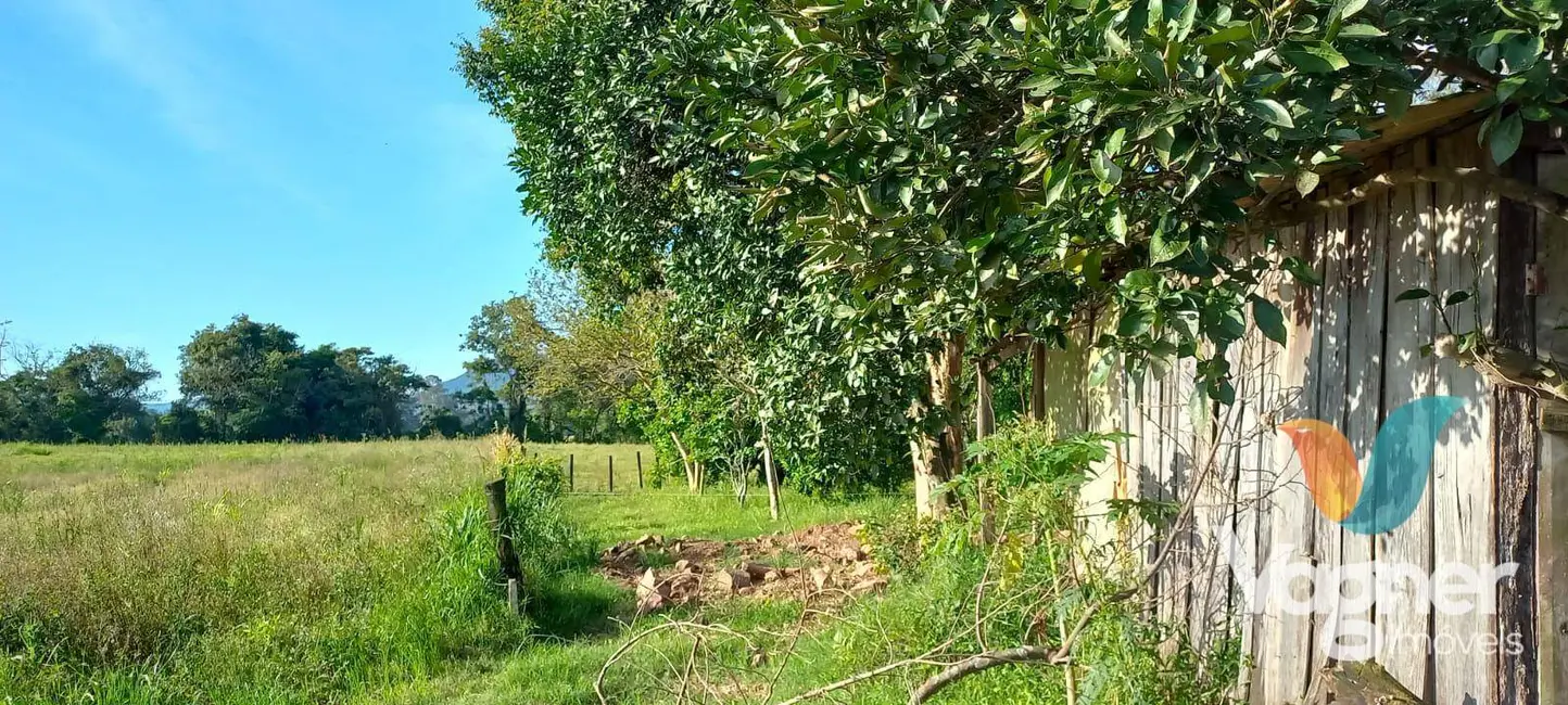 Foto 8 de Chácara com 3 quartos à venda, 6000m2 em Colinas - RS