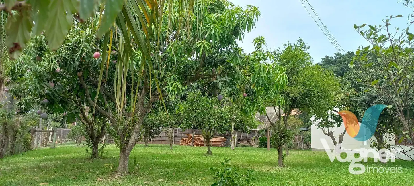 Foto 6 de Chácara com 2 quartos à venda, 24000m2 em Cruzeiro Do Sul - RS