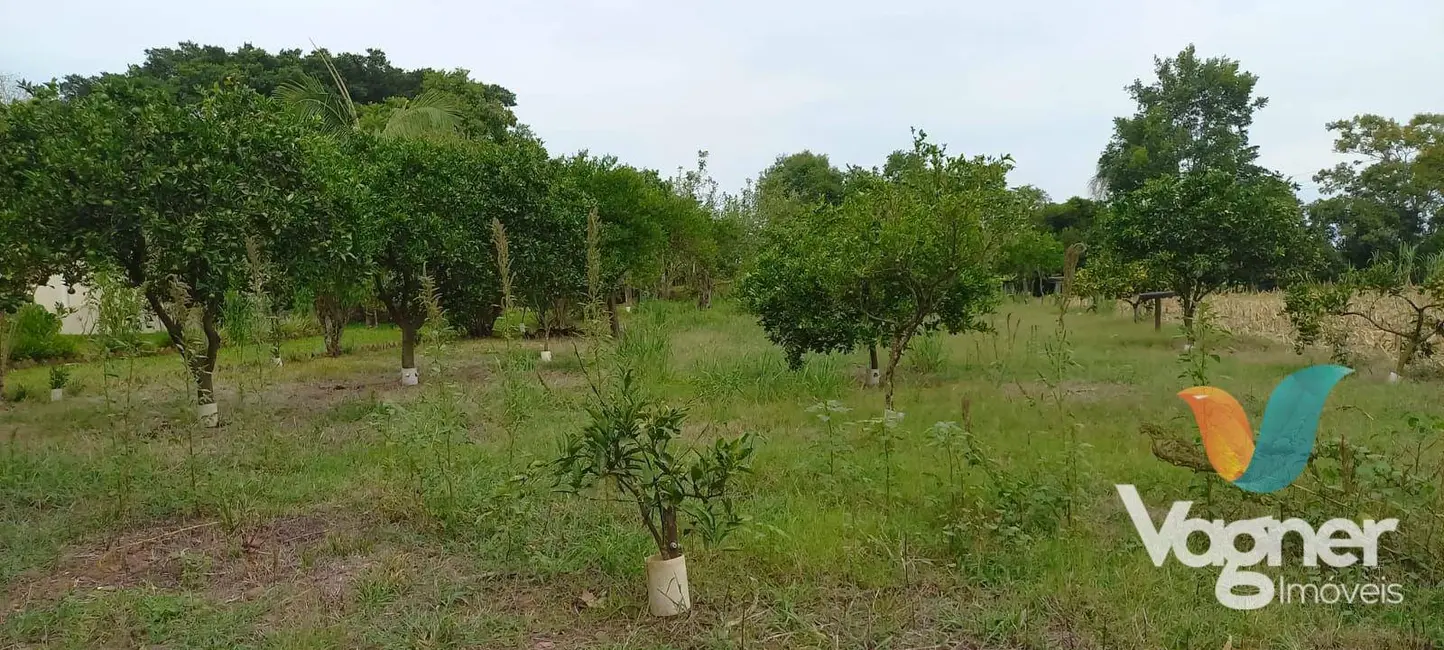 Foto 7 de Chácara com 2 quartos à venda, 24000m2 em Cruzeiro Do Sul - RS