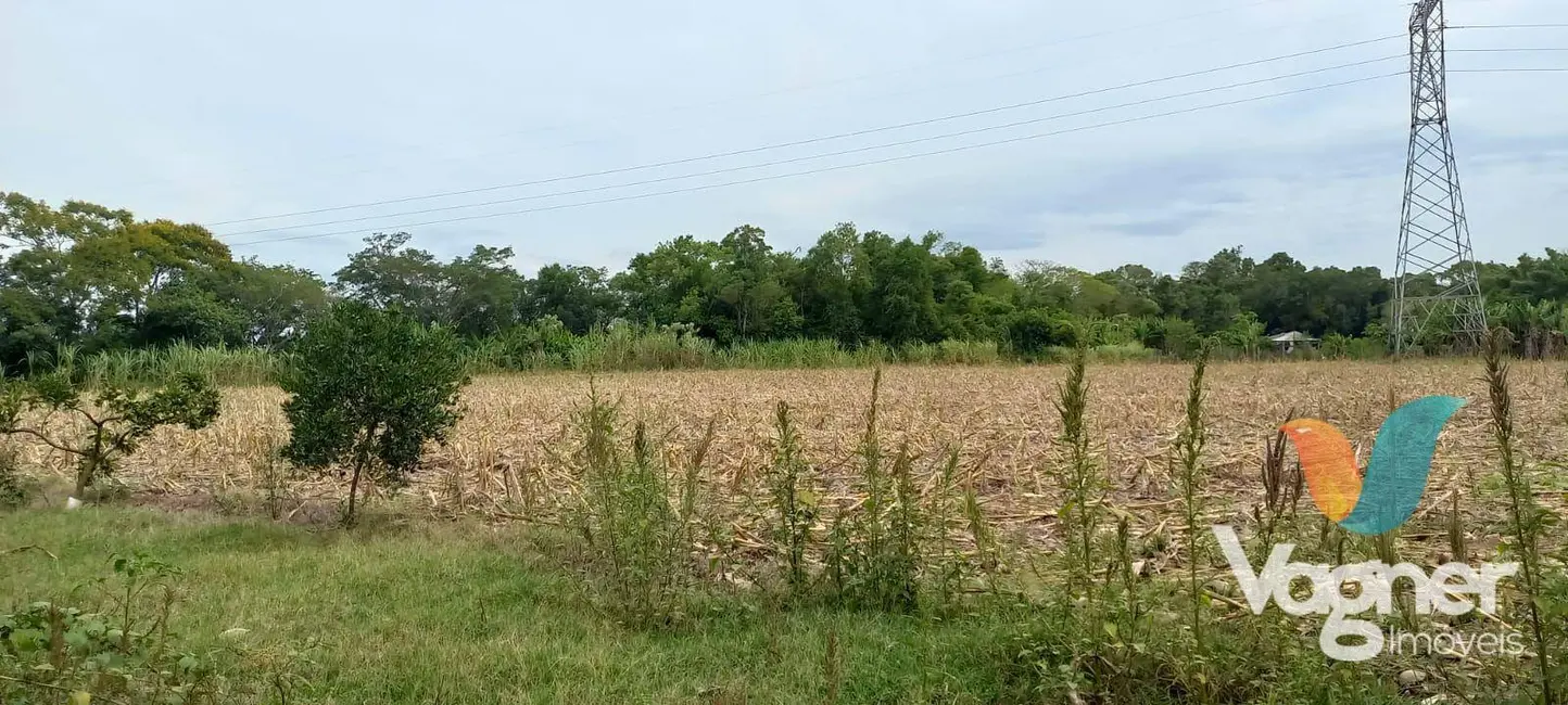 Foto 9 de Chácara com 2 quartos à venda, 24000m2 em Cruzeiro Do Sul - RS