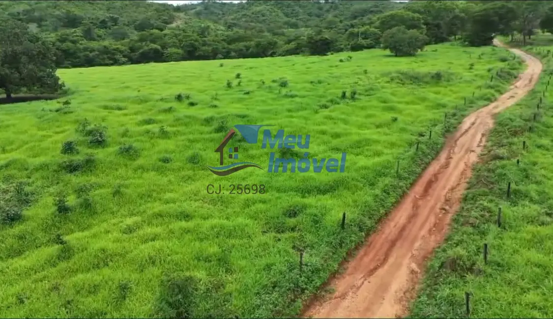 Foto 4 de Fazenda / Haras com 1 quarto à venda, 260m2 em Padre Bernardo - GO