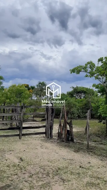 Foto 9 de Fazenda / Haras com 1 quarto à venda, 8947m2 em Jaborandi - BA