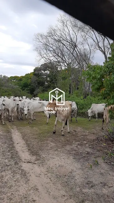 Foto 4 de Fazenda / Haras com 1 quarto à venda, 8947m2 em Jaborandi - BA