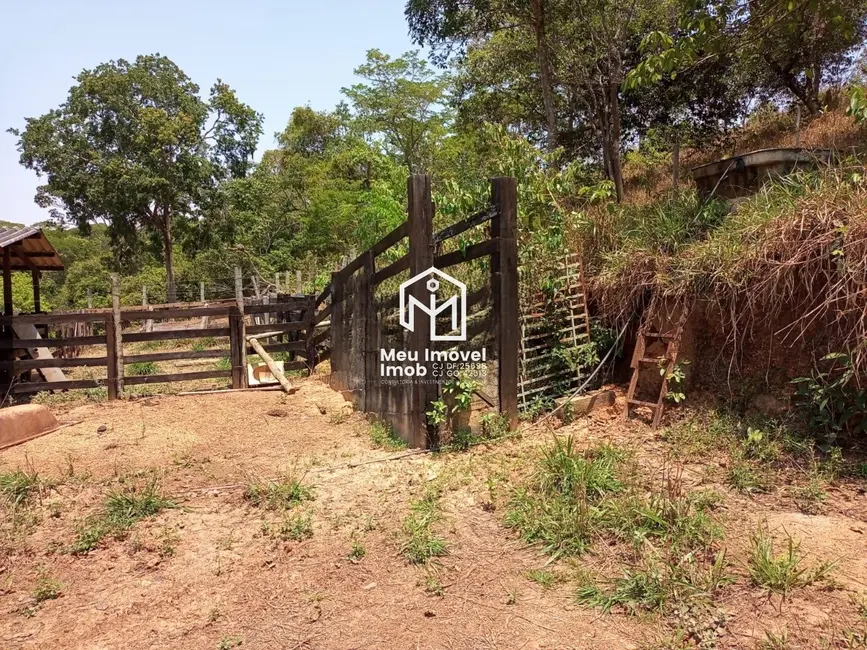 Foto 6 de Fazenda / Haras com 3 quartos à venda, 14m2 em Centro, Luziania - GO