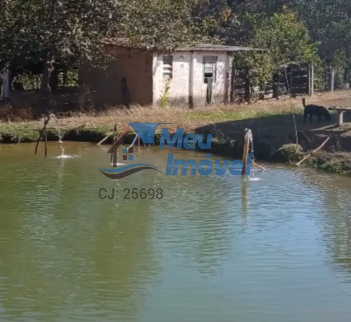 Foto 3 de Chácara com 4 quartos à venda em Área Rural de Luziânia, Luziania - GO