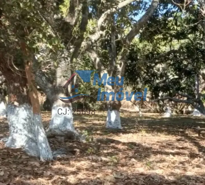 Foto 4 de Chácara com 4 quartos à venda em Área Rural de Luziânia, Luziania - GO