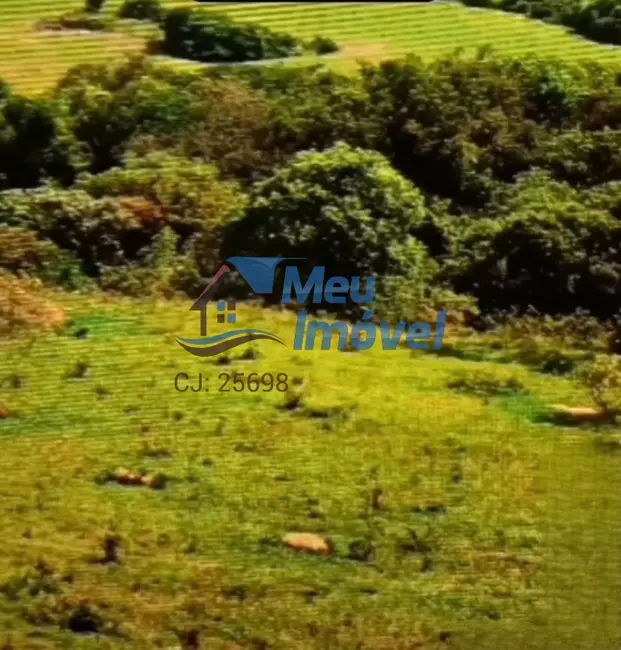 Sítio / Rancho com 5 quartos à venda em Área Rural de Luziânia, Luziania - GO - imagem 4 Foto 4 de Sítio / Rancho com 5 quartos à venda em Área Rural de Luziânia, Luziania - GO