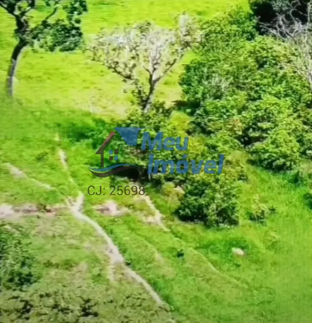 Sítio / Rancho com 5 quartos à venda em Área Rural de Luziânia, Luziania - GO - imagem 6 Foto 6 de Sítio / Rancho com 5 quartos à venda em Área Rural de Luziânia, Luziania - GO