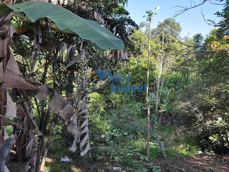 Foto 4 de Chácara com 3 quartos à venda, 23000m2 em Área Rural de Luziânia, Luziania - GO